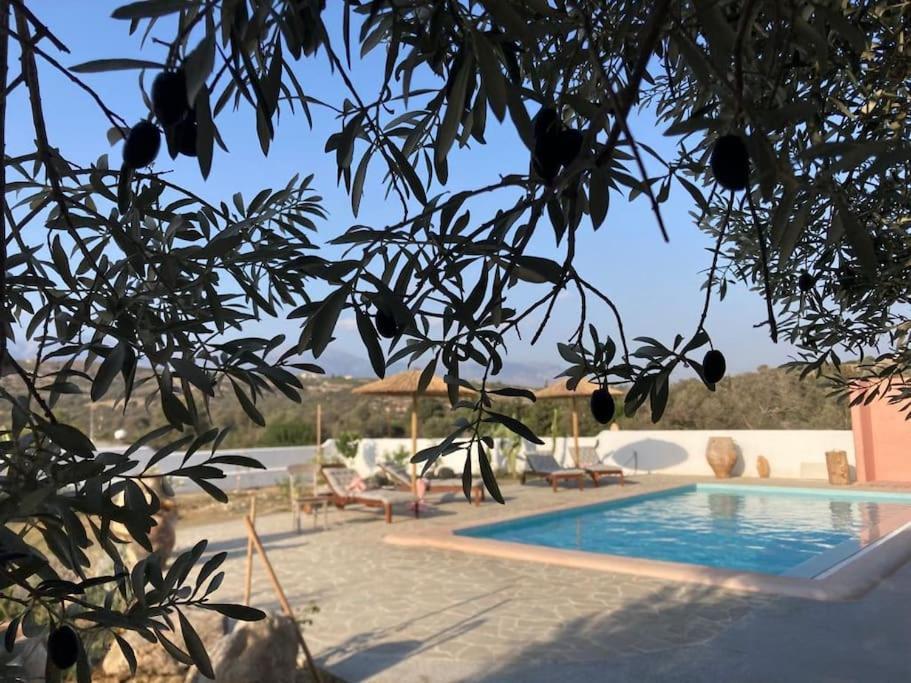Villa Louloudia Stylish Luxury Villa With Private Pool Pitsidia Exterior photo