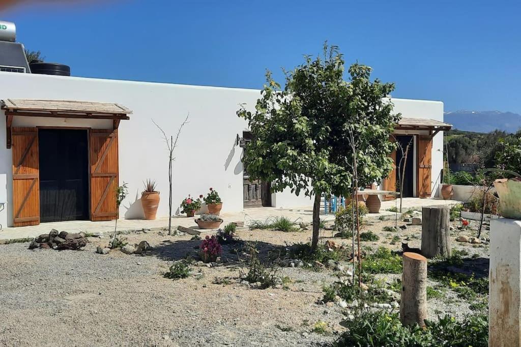Villa Louloudia Stylish Luxury Villa With Private Pool Pitsidia Exterior photo