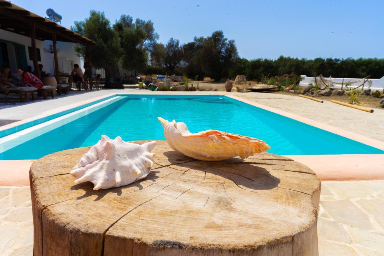 Villa Louloudia Stylish Luxury Villa With Private Pool Pitsidia Exterior photo